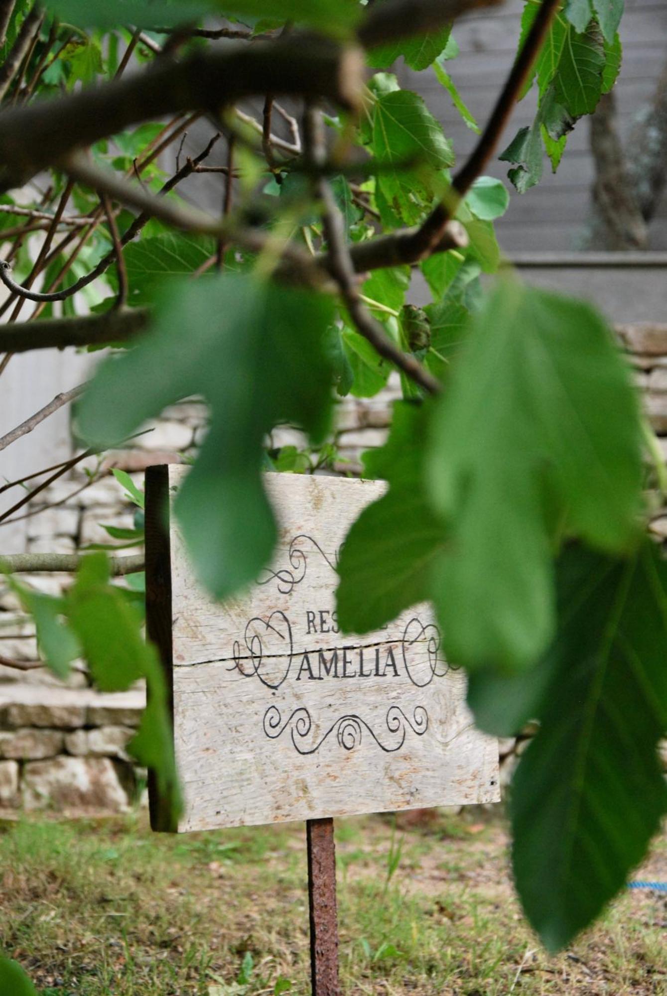 Villa Madra โบนิฟาซิโอ ภายนอก รูปภาพ