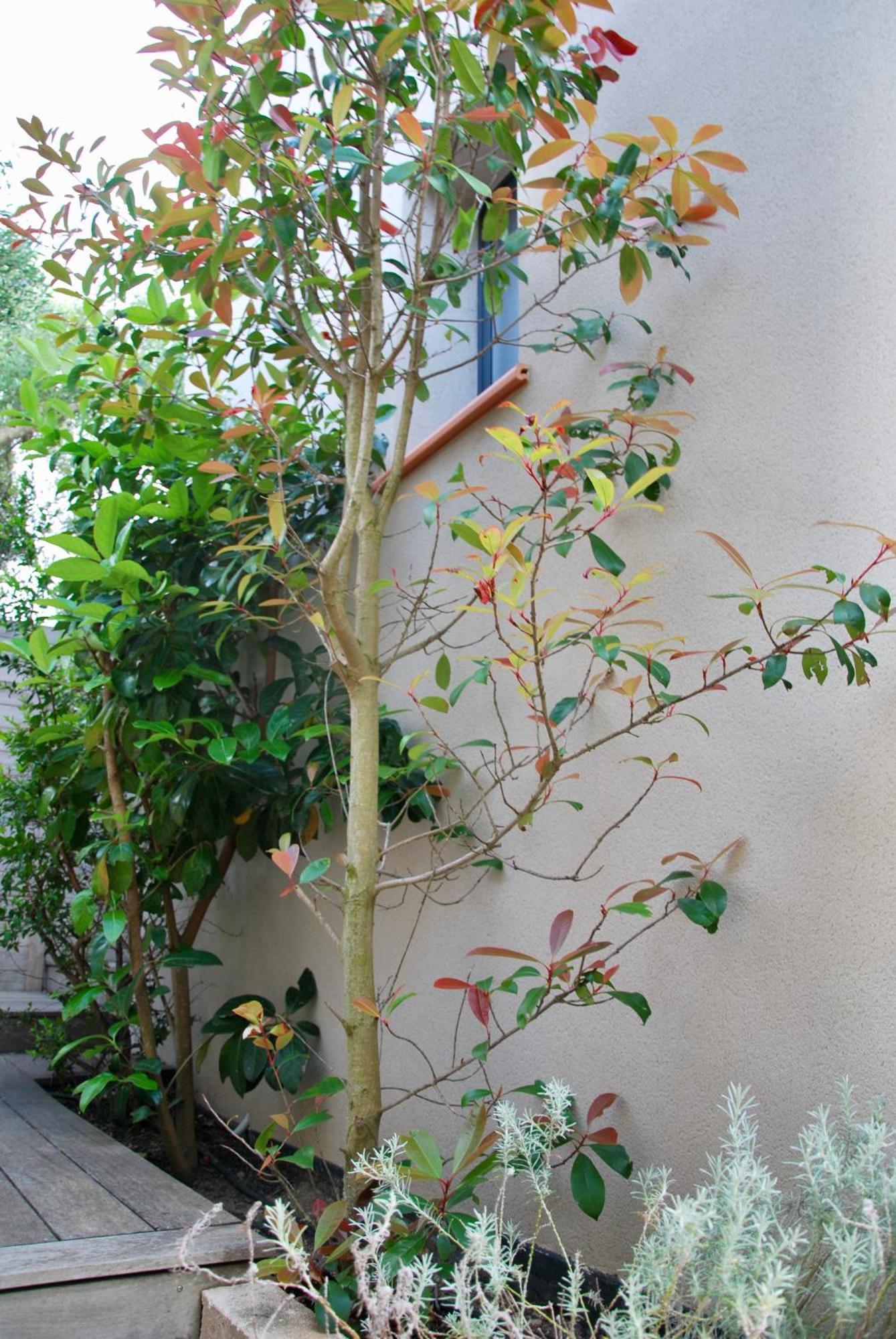 Villa Madra โบนิฟาซิโอ ภายนอก รูปภาพ