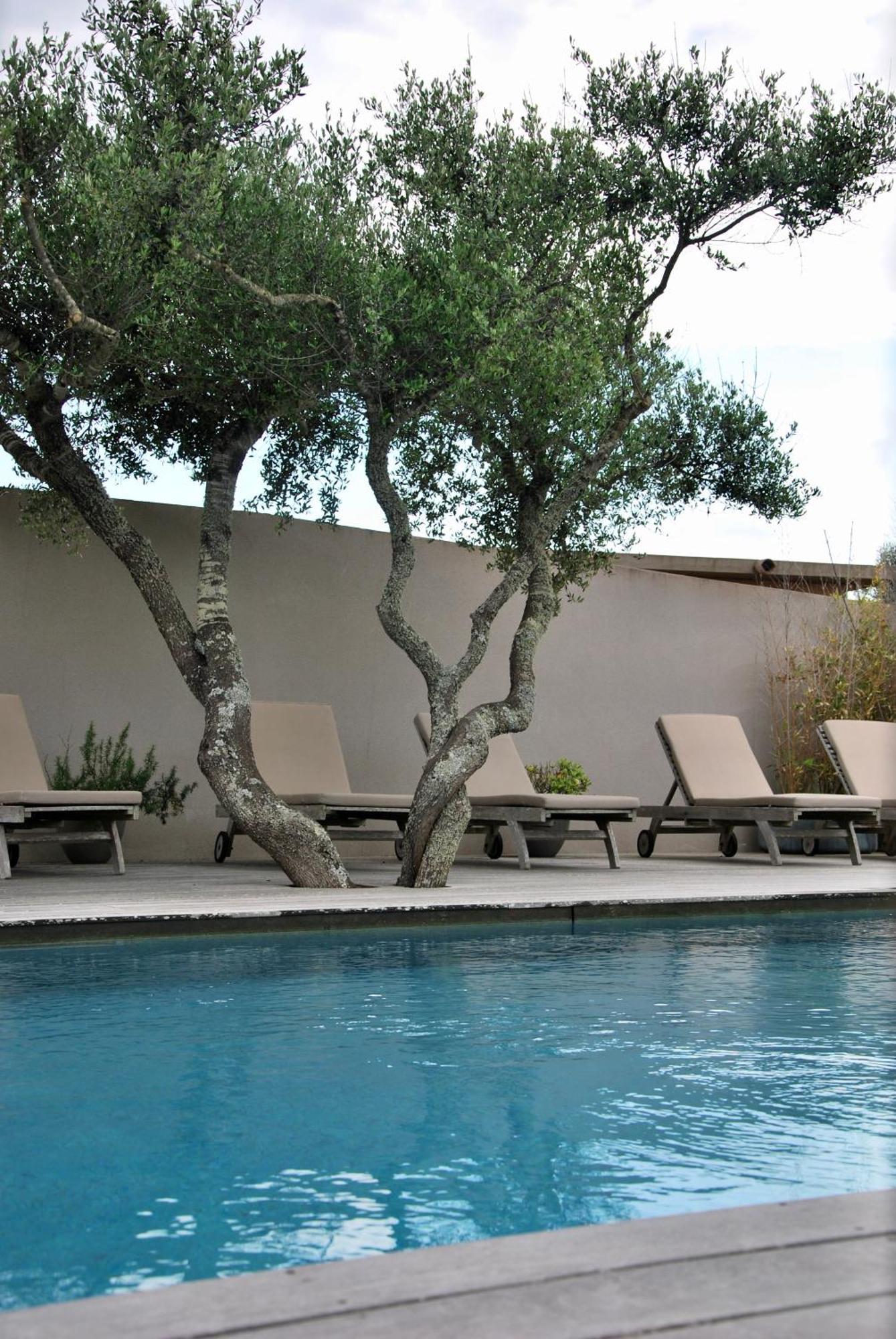 Villa Madra โบนิฟาซิโอ ภายนอก รูปภาพ